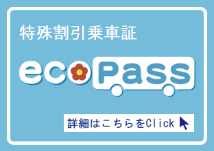 eco pass